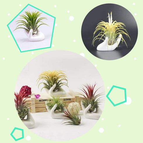 6 Pack Ceramic Air Plant Stand Holder, Hand Shape Tillandsia Airplant Container Pot Tabletop Plant Display Hand Racks for Home Office Decoration S...