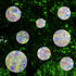 36 Pcs Anti-Collision Window Decals, Rainbow Stickers Circle Window Clings -to Save Birds from Window Collisions,Non Adhesive Prismatic Vinyl Wind...