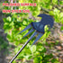 2023 New Weeding Artifact Uprooting Weeding Tool, Premium Manganese Steel Forged Weed Puller 4 Teeth Dual Purpose Weeder, Hand Weeder Tool for Gar...