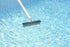 Poolmaster 20177 Aluminum-Back Swimming Pool Wall Brush with Stainless Steel Bristles, 10-Inch, Silver...