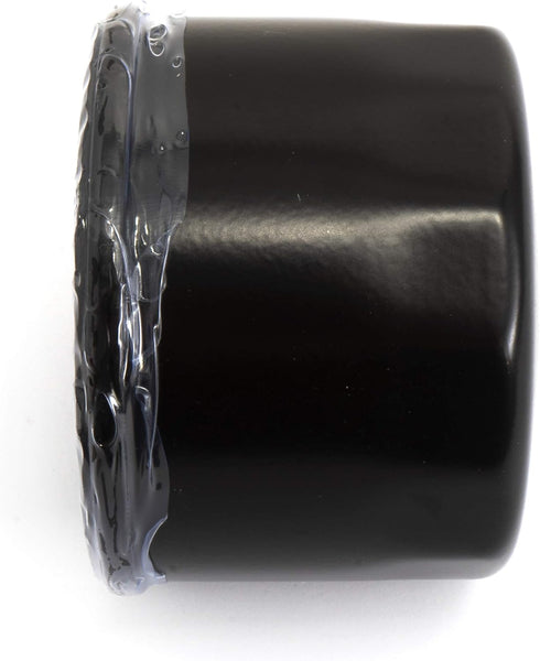 Craftsman CMXGZAM201010 Oil 751-12690 Filter, Black...