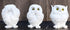 Ebros See Hear Speak No Evil Fat Baby White Owls Figurines Set of 3 Decor Wisdom of The Woods Nocturnal Snow Owl Bird Themed Chibi Owlets Collecti...