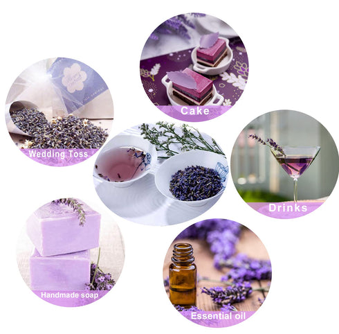 TIAN HU SHAN Dried Lavender Flower Buds, Culinary Food Grade for Baking, Fresh Fragrance, 4 Ounce, Caffeine Free Suger Free Vegan Herbal Tea, Pack...