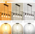 hansang E26 Edison Light Bulbs Dimmable 2700K Warm White, Vintage Edison Bulbs 60 Watt Equivalent LED, 6W Filament Light Bulbs CRI 85+, ST58 LED B...