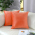 mixeoo Comfy Peach Coral Throw Pillow Covers Decorative Square Solid Velvet Super Soft Cushion Cases Home Decor for Sofa Couch, Set of 2, 18 x 18 ...