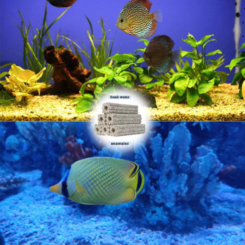 PINVNBY 20 Pcs 6.2-Inch Large Aquarium Filter Media Fish Tank Ceramic Media for Sump Canister Filter,Bakki Showers Filter,Trickle Filter,Aquacultu...