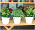 5.2“ Self Watering Planter White Flower Pot, 3 Pcs Medium Planter Pot, Mini Plant Pot, for All Plants, Herbs, African Violets, Succulents, Flowers...