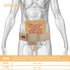 Everyday Medical Hernia Guard I Inguinal Hernia Belt For Men I Left or Right Side, Post Surgery Men’s Inguinal Hernia Support Truss, Groin Hernias...