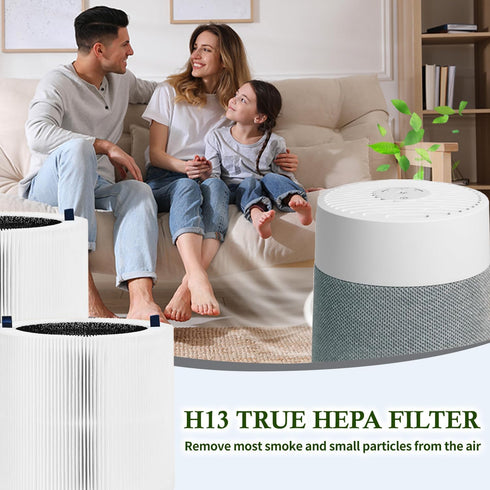 Replacement Filter for Air Purifier,Compatible with Blueair Blue Pure Mini Max Air Purifier,Hepa H13,Pack of 2....