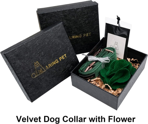ARING PET Velvet Dog Collar, Cute Christmas Dog Collar with Felt Flower, Adjustable Green Dog Collars Flower with Metal Buckle for Small Medium La...