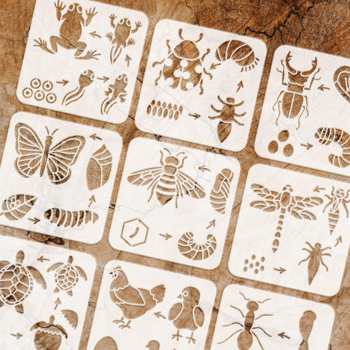 FINGERINSPIRE 9PCS Animal Growth Painting Stencil 7.8x7.8inch Reusable Animal Growth Cycle Stencil Frog Ladybug Stag Beetle Butterfly Bee Dragonfl...