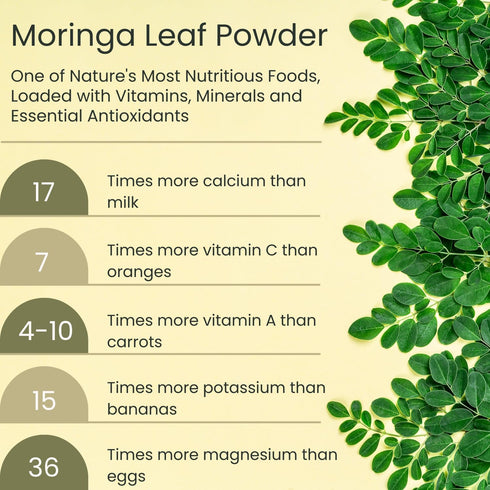 Moringa Leaf Powder - Freeze Dried & True Green 100% Pure Moringa Leaves Powder - Single Origin Organic Moringa Oleifera Leaf with Essential Amino...