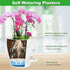 6 Inch Orchid Pots with Holes, 2 Pack Self Watering Planters for Orchids Plastic Orchid Pot Plant Flower Pots for Orchids Indoor Outdoor (White)...