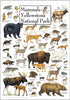 Earth Sky + Water - Mammals of Yellowstone National Park - Poster...