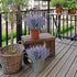 GTIDEA 4pcs Artificial Flowers Flocked Plastic Lavender Bundle Fake Plants Wedding Bridle Bouquet Indoor Outdoor Home Kitchen Office Table Centerp...