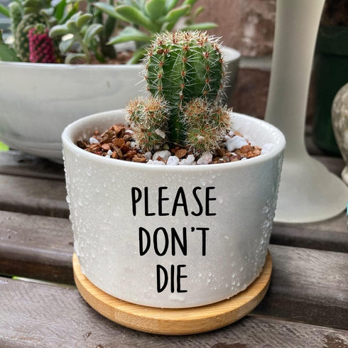 Funny White Ceramic Engraved Mini Succulent Cactus Planter Pot, 1 Pack 3.5 inch Succulent Indoor Flower Plant Pots with Bamboo Tray for Home Offic...