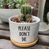 Funny White Ceramic Engraved Mini Succulent Cactus Planter Pot, 1 Pack 3.5 inch Succulent Indoor Flower Plant Pots with Bamboo Tray for Home Offic...