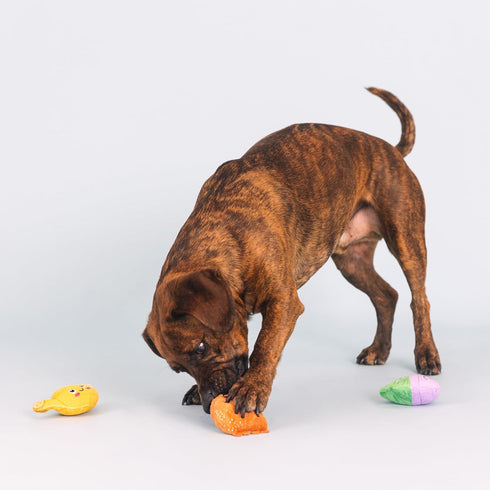 Fringe Studio Plush Dog Toy Set, Just Add Water, Small 3 Piece Set, Pet Shop Collection (662057)...