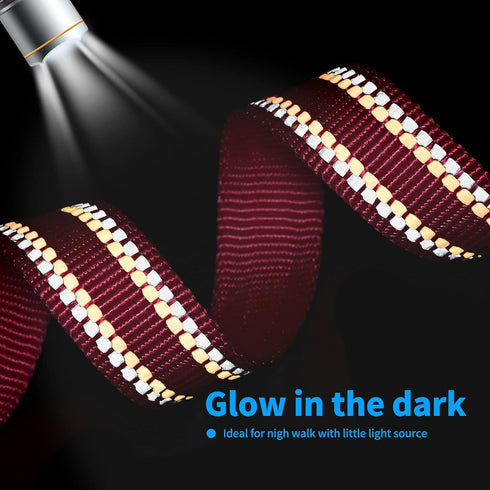 Mile High Life | Nylon Night Light Glow Collar for Medium Dogs | Reflective Band Cat Collar | Fluorescence self-luminescence Strap Puppy Collar | ...