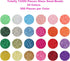 EuTengHao 13200Pcs Glass Seed Beads Small Craft Beads Small Beads for DIY Bracelet Necklaces Crafting Jewelry Making Supplies with Two 0.6mm Clear...