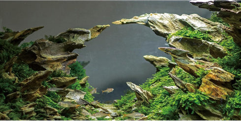 AWERT 60x24 inches Stone Aquarium Background Aquarium Background Aquatic Plant River Bed & Lake Fish Tank Background Vinyl Background...