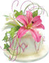 PME LY1002 Veined Lily Plunger Cutters, Large Size, Set of 2, White...