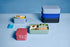 MEPAL, Bento Lunch Box Midi with 2 Compartments for Food Storage, a Detachable Box Including a Fork, Portable, BPA Free, Nordic Green, Holds 30.4 ...