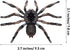 Realistic Spider Giant Fake Spider Action Model Plastic Animal Tarantula Toy Figures Lifelike Educational Learning Toys for Boys and Girls, Hallow...