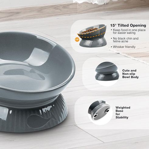 Elevated Cat Bowl, Ceramic Tilted Cat Food Bowl, Anti Vomiting, Stress Free on Neck and Spine, Spill-Proof, Anti-Tipping, Dishwasher Safe, Raised ...