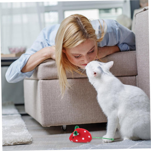 GANAZONO 5pcs Mouse Cat Toy Cat Biting Toys Mouse Toys for Indoor Cats Mouse Stuffed Toy Cat Mice Toys for Indoor Cats Cat Plush Mouse Toy Cat Toy...