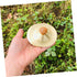 4pcs Children's Percussion Instrument Mini Cymbals Mini Hand Bells Small Cymbals Kids Mini Cymbal Brass Cymbals Copper Cymbals Hand Cymbals Toys M...