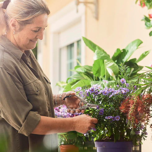 Pruning Shears for Gardening - The Perfect Garden Tools for Gardening and Trim Sphagnum Moss, Bonsai, Herb and Aero Garden - Weed Accessories for ...