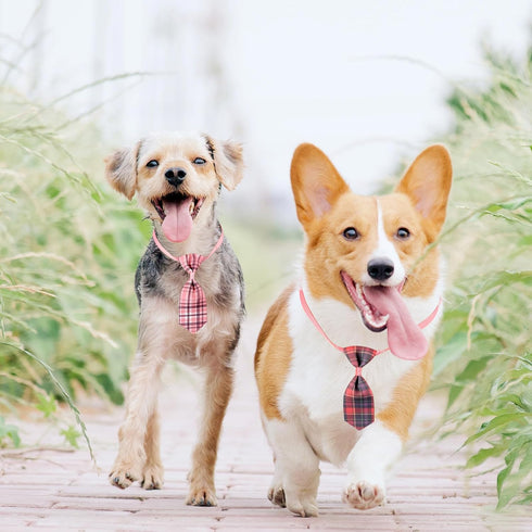 Segarty Small Dog Ties, 40 PCS Assorted Pattern Adjustable Pet Bow Ties for Small Dogs Bows Cats Grooming Bowties Puppy Neckties Festival Party Va...