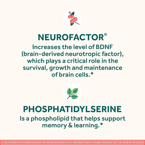 NEURIVA Brain Supplement for Memory & Focus with Phosphatidylserine & Neurofactor, Caffeine-Free Gummies...
