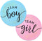 2.25” Gender Reveal Stickers for Party Invitations and Voting Games (80 Count) - Team Boy and Team Girl Labels with Gold Foil for Reveal Parties a...