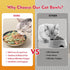 5.5 inch Wide Shallow Cat Food Bowl Set for Relief Whisker Fatigue -Ceramic - 6 Colorful Cute Small Flat Kitten Feeding Dish/ Dishes - Microwave a...