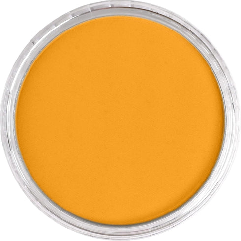 PanPastel Artist Pastels by GOLDEN, Diarylide Yellow, 2.44” / 62mm Pan Diameter, Professional Artist Pastels, Unique Pan Format (cake-like)...