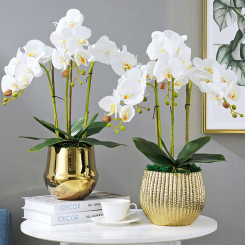 FagusHome 6 PCS Artificial Phalaenopsis Orchids Leaves 11 inches Green Faux Orchids Leaf (6 Pcs)...