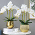 FagusHome 6 PCS Artificial Phalaenopsis Orchids Leaves 11 inches Green Faux Orchids Leaf (6 Pcs)...