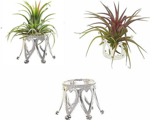 Pack of 3 Silver Air Plant Holder Cute Crystal Tillandsia Display Container Home Decors Office Desktop Marble Egg Sphere Stand...