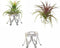 Pack of 3 Silver Air Plant Holder Cute Crystal Tillandsia Display Container Home Decors Office Desktop Marble Egg Sphere Stand...