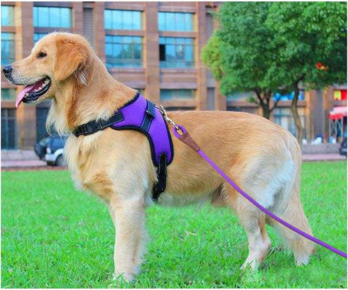 6FT/8FT/10FT Rope Dog Leash, 1/2” Strong Nylon Dog Leash with Leather Tailor Connection, Great for Medium and Large Dogs (1/2" x 6ft, purple)...