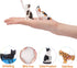 Toymany 8PCS Realistic Cat Figurines, Educational Cat Figures Toy Set, Kitten Easter Eggs Cat Cake Topper Christmas Birthday Gift for Kids Boys Gi...
