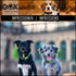 DDOXX Dog Collar Air Mesh, Adjustable, Padded | Many Colors & Sizes | for Small, Medium & Large Dogs | Collars cat Puppy pet Kitten | Yellow, XS...