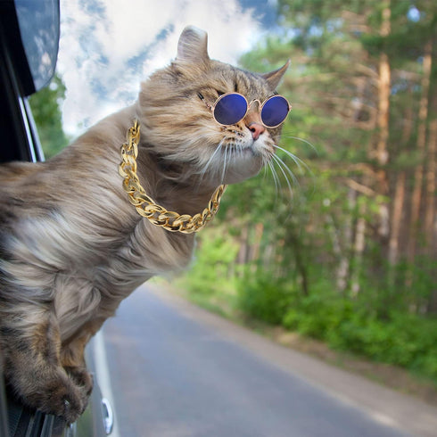 7 Pieces Dog Costume Set Include Adjustable Gold Pet Chain and Funny Cute Cat Small Dog Sunglasses Retro Pet Sunglasses for Cat Puppy Small Medium...