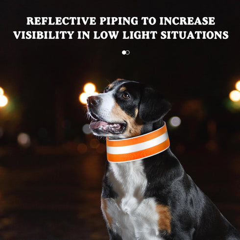 2 Pcs Reflective Dog Collar High Visibility Adjustable Pet Collars with Quick Release Fastener Comfortable Dog Walking Accessories for Small Mediu...