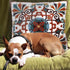 Decorative Couch Pillow Covers for Living Room 18x18 inches Set of 2 Embroidered Pattern Square Throw Pillows Case Cover for Sofa Bed Chair...