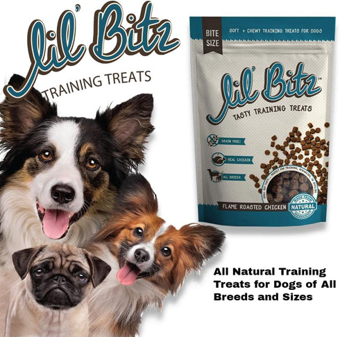 Lil' Bitz Flame Roasted Chicken Training Treats for All Dog Breeds - Low Calories, Grain Free, Natural Ingredients, NASC Compliance - Perfect Rewa...