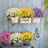 Artificial Daisies Flowers Outdoor UV Resistant 4 Bundles Fake Foliage Greenery Faux Plants Shrubs Plastic Bushes for Window Box Hanging Planter F...