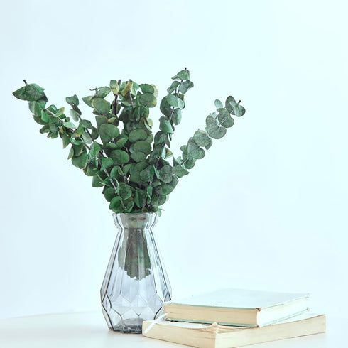 12 pcs Small Dried Eucalyptus Stems 12inchs Real Eucalyptus for Shower Hanging Plants Made from Fresh Eucalyptus Mini Shower Plants Home Bathroom ...